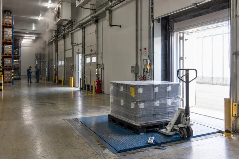 Keeping It Cold: Singapore Cold Chain Logistics for Pharma in 2026 and the High-stakes Boom
