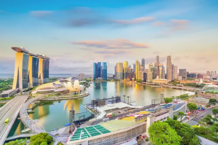 Corporate Growth Roadmap for a Singapore-Based Industrial Group