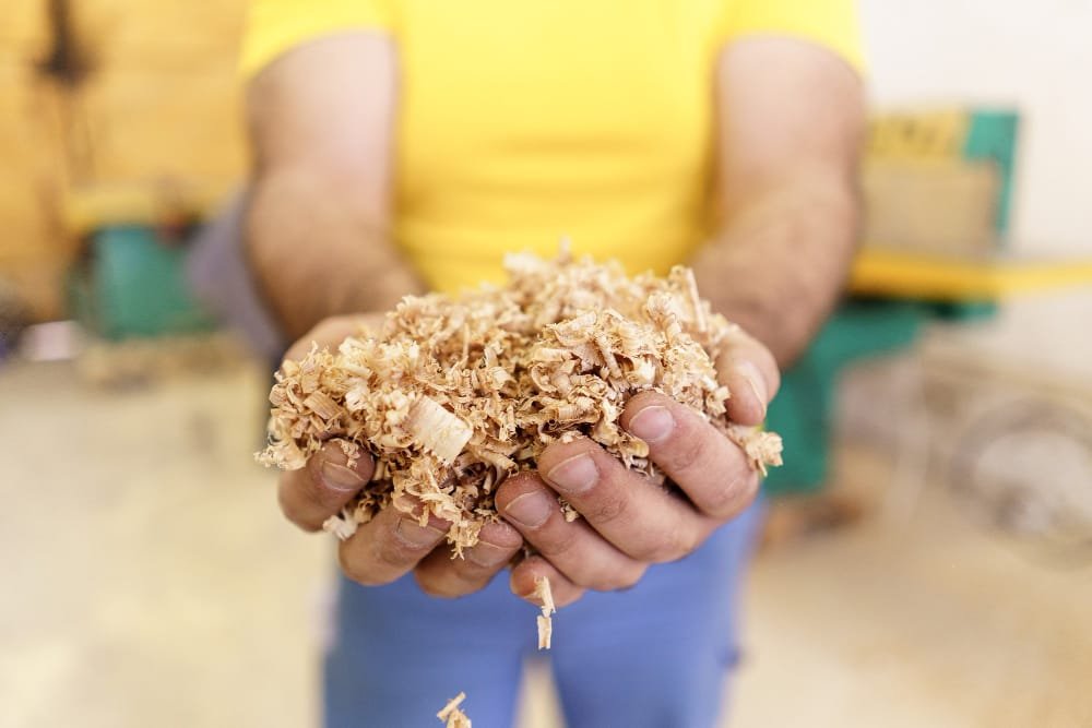 Person holding a handful of wood shavings in a workshop environment, showing the rise of Sustainable Materials Singapore.